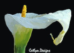 Digital Painting of a flower