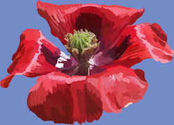 Digital Painting of a Flower